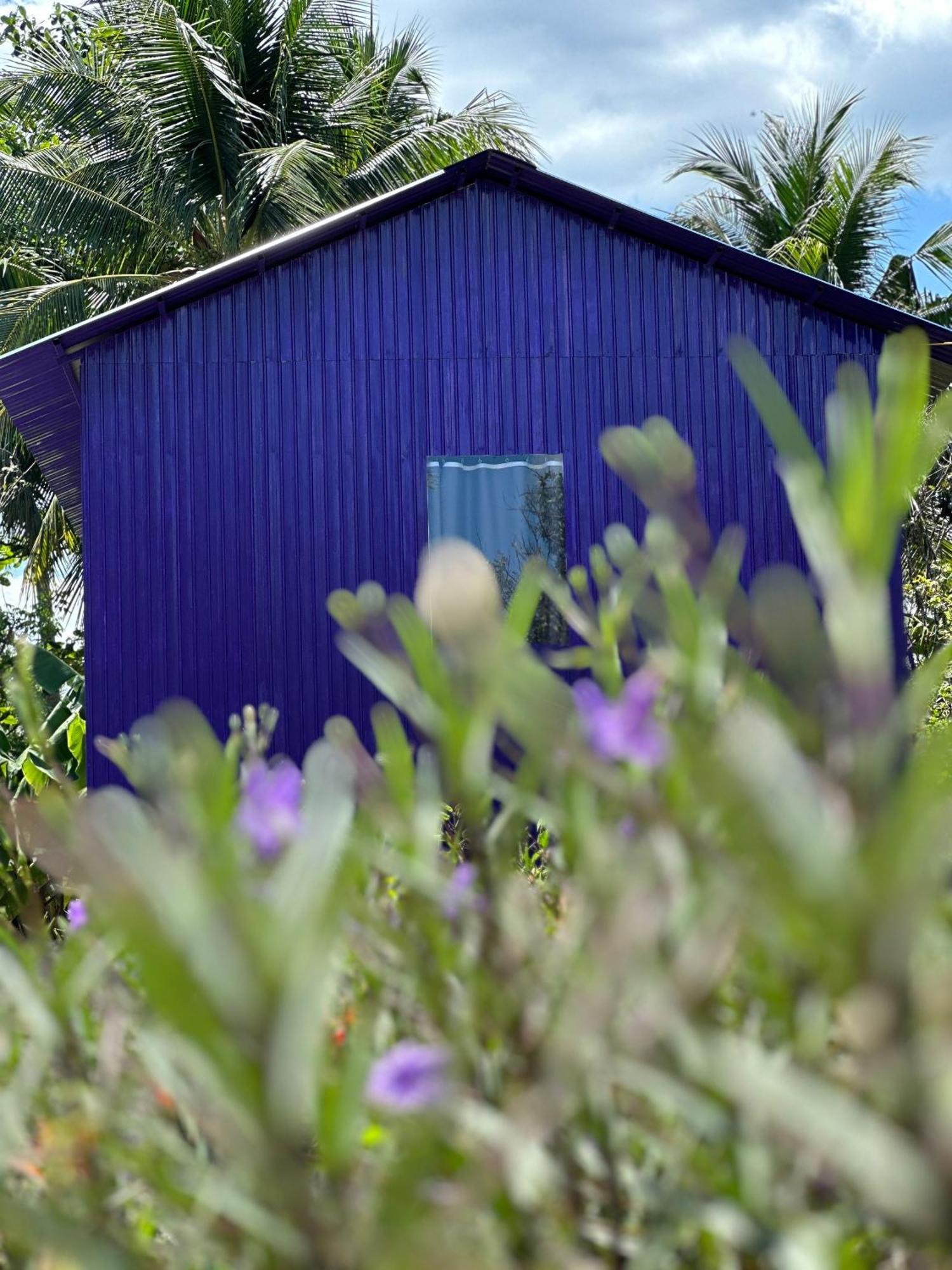 Hide Away Bungalows In Ben Tre City 외부 사진