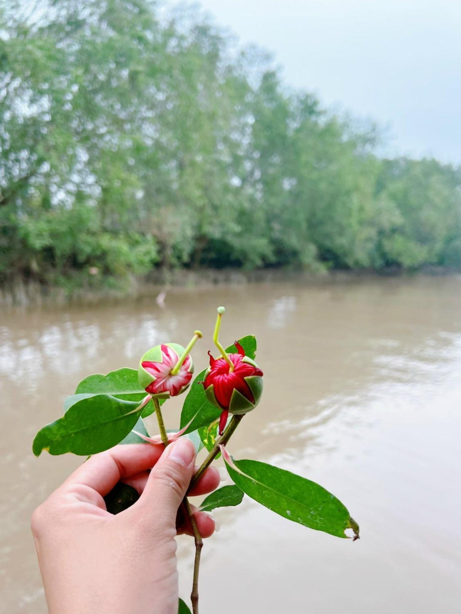 Hide Away Bungalows In Ben Tre City 외부 사진