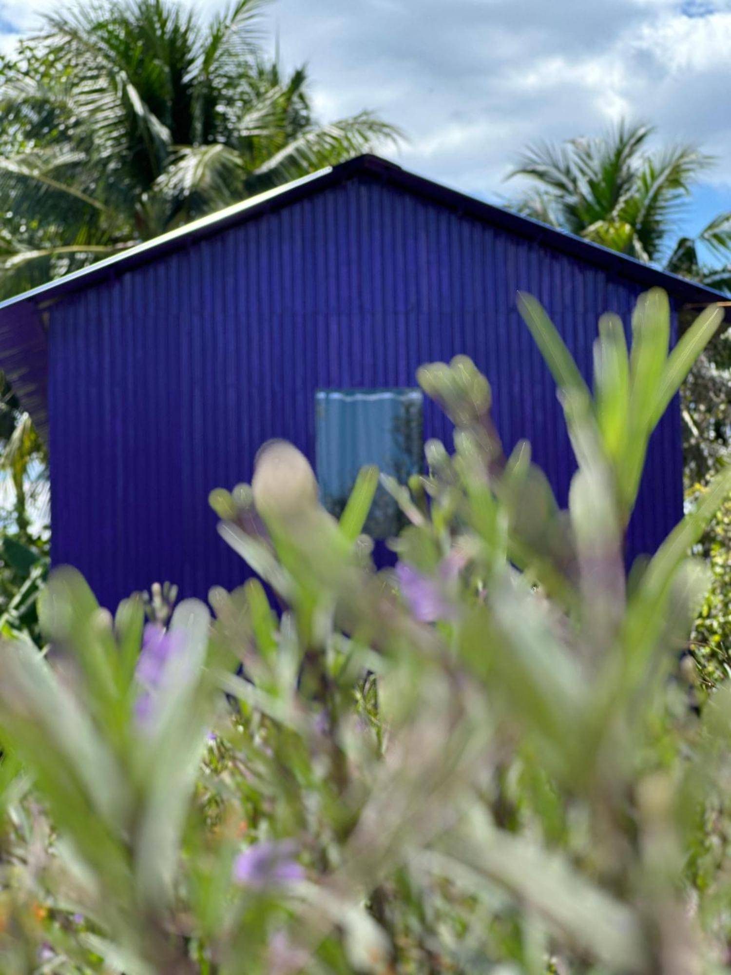 Hide Away Bungalows In Ben Tre City 외부 사진