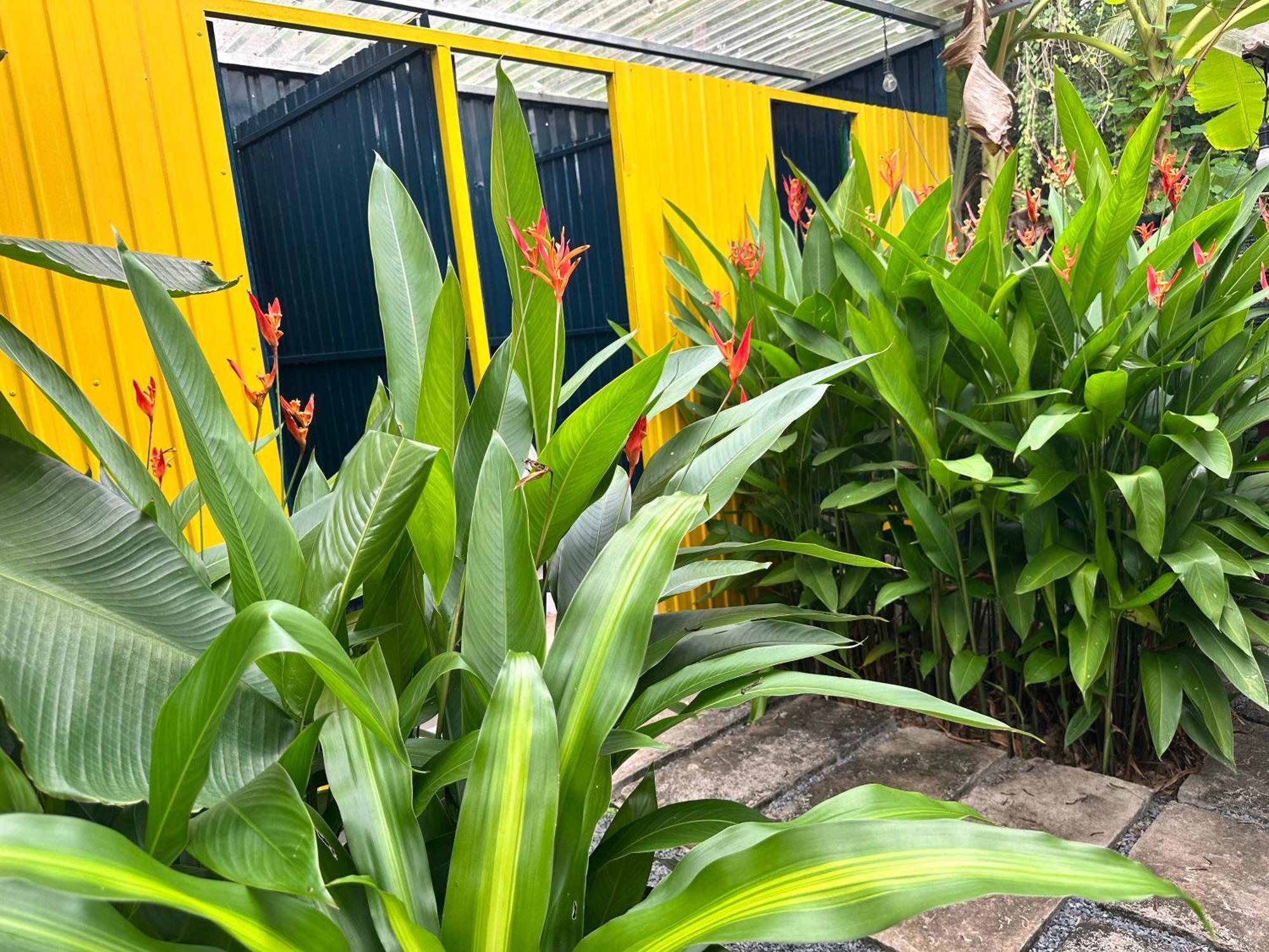 Hide Away Bungalows In Ben Tre City 외부 사진